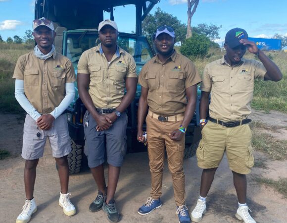 Best Time to Visit Tanzania for a Safari Adventure